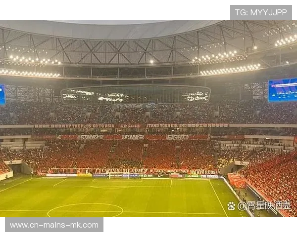 成都蓉城反击跑动路线完美,推进速度快得离谱 成都蓉城反击跑动路线完美,推进速度快得离谱