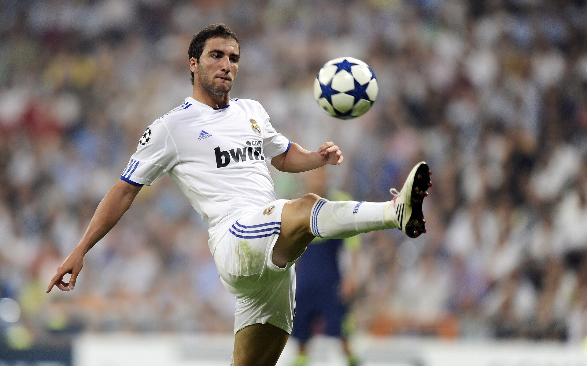 2026年WTT大满贯·深圳站 樊振东孙颖莎包揽单双打冠军